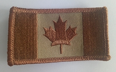 Custom made embroidery patch(019)