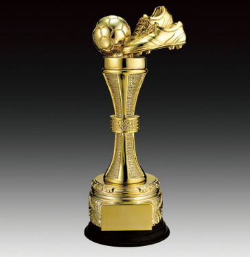 Metal trophy(stock or custom)(011)