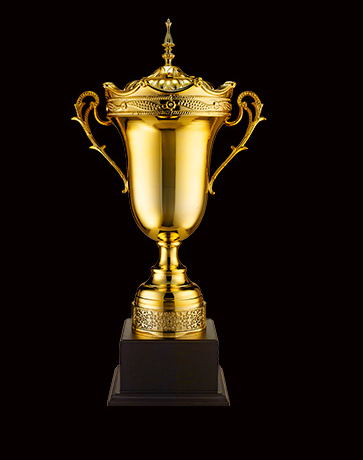 Metal trophy(stock or custom)(011)