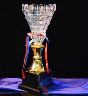 Metal trophy(stock or custom)(012)