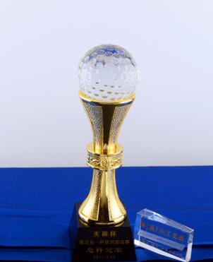 Metal trophy(stock or custom)(012)