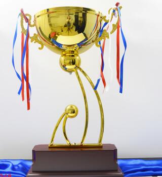 Metal trophy(stock or custom)(012)